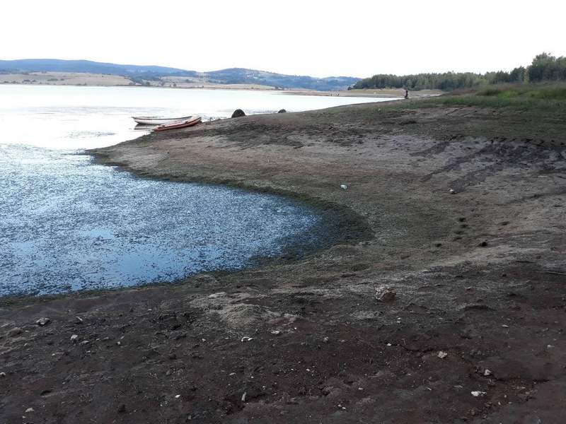 Због прекомерног испумпавања воде за мини хидролектране Власинско језеро буквално умире! (фото) Због прекомерног испумпавања воде за мини хидролектране Власинско језеро буквално умире! (фото)