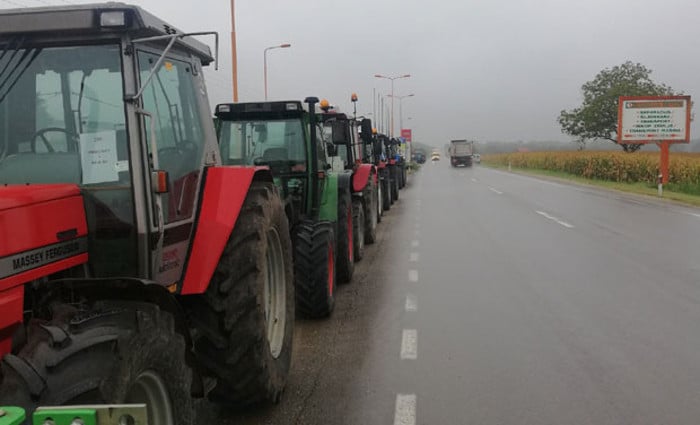 ПРОИЗВОЂАЧИ ПРЕТЕ ПРОТЕСТИМА: Уљаре потцениле наш сунцокрет ПРОИЗВОЂАЧИ ПРЕТЕ ПРОТЕСТИМА: Уљаре потцениле наш сунцокрет
