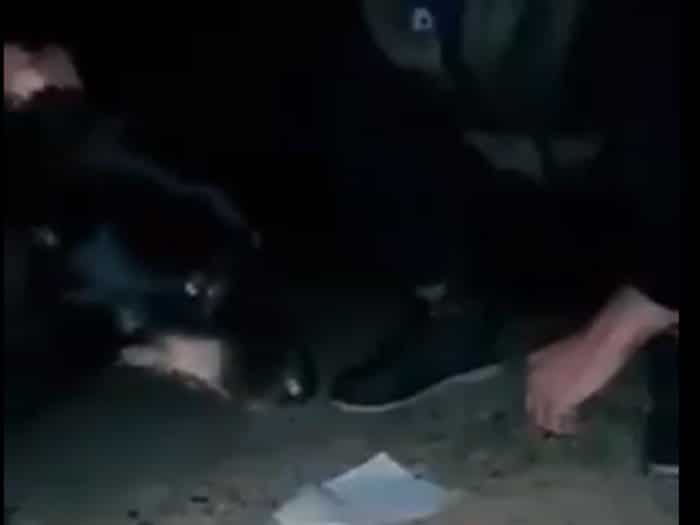 Обреновац: Сатанистичка секта коље псе приликом обреда (видео) Обреновац: Сатанистичка секта коље псе приликом обреда (видео)