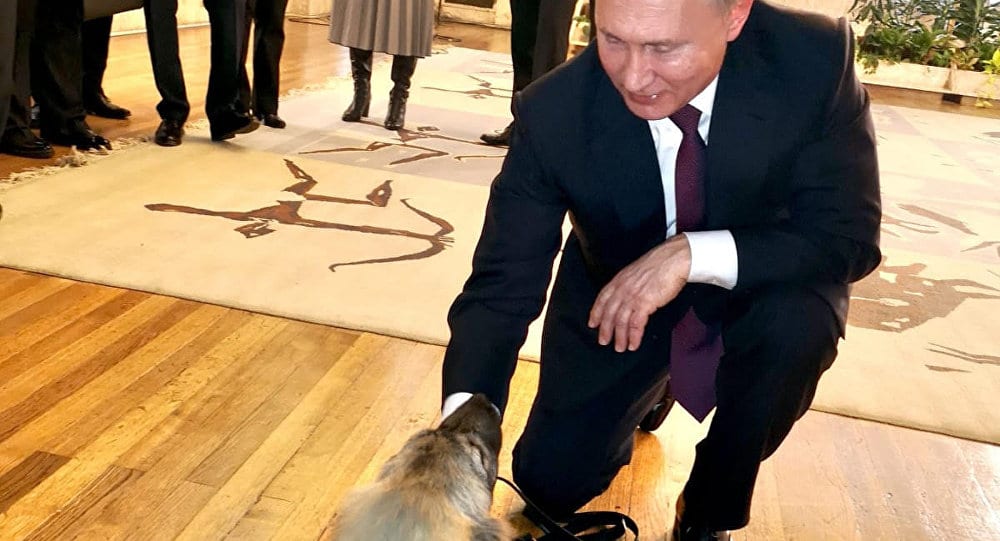 Путин: Хвала Србима на топлом пријему (видео) Путин: Хвала Србима на топлом пријему (видео)