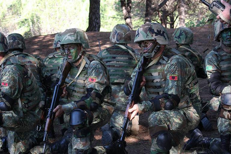ВУЧИЋ НИ ДА ПИСНЕ: Војска Албаније ушла на Kосово, распоређена за маневре и вежбе! ВУЧИЋ НИ ДА ПИСНЕ: Војска Албаније ушла на Kосово, распоређена за маневре и вежбе!