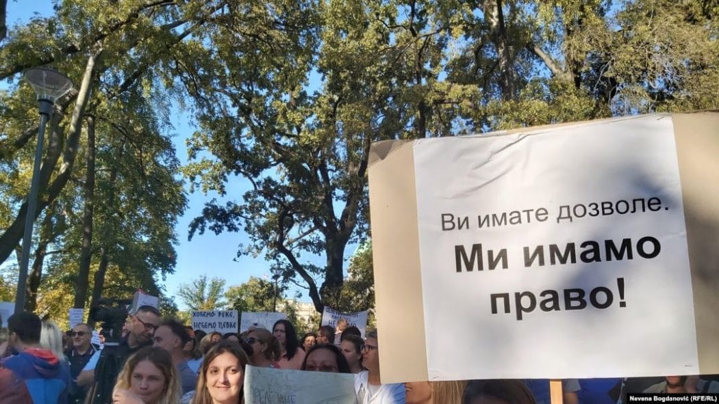 Декан Шумарског факултета у Београду Ратко Ристић: Мини хидро-централе су добар бизнис за уски круг људи, али штетан за Србију