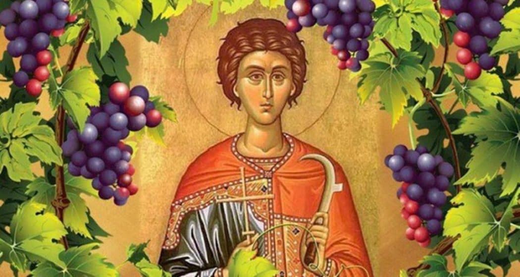 БИБЛИЈСКО ВОЋЕ: Грожђе БИБЛИЈСКО ВОЋЕ: Грожђе