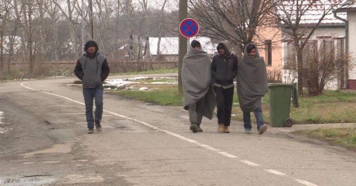 ЧИЈА ЈЕ ОВО ДРЖАВА? У Сомбору протест против мигрантског терора, полиција приводила… (видео) ЧИЈА ЈЕ ОВО ДРЖАВА? У Сомбору протест против мигрантског терора, полиција приводила… (видео)