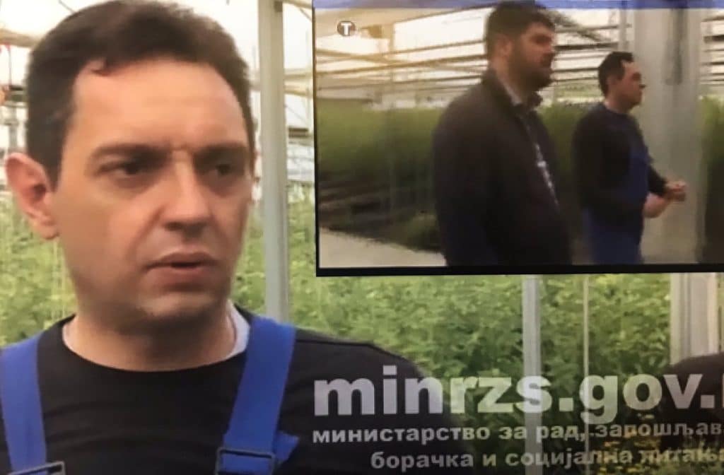 Вулин и Бабић посећивали плантажу Јованица на којем је заплењена марихуана, полиција ћути (фото, видео)