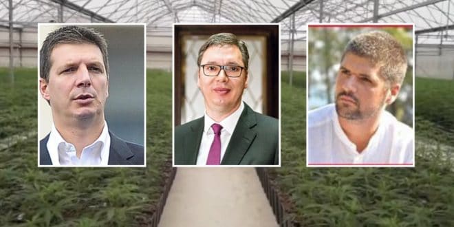 braca-vucic-marihuana-jovanjica-660x330.jpg