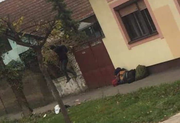БОЈИМ СЕ ЗА СВОЈ ЖИВОТ: Мигранти снимљени како упадају у куће по Сомбору, медији игноришу! (фото) БОЈИМ СЕ ЗА СВОЈ ЖИВОТ: Мигранти снимљени како упадају у куће по Сомбору, медији игноришу! (фото)