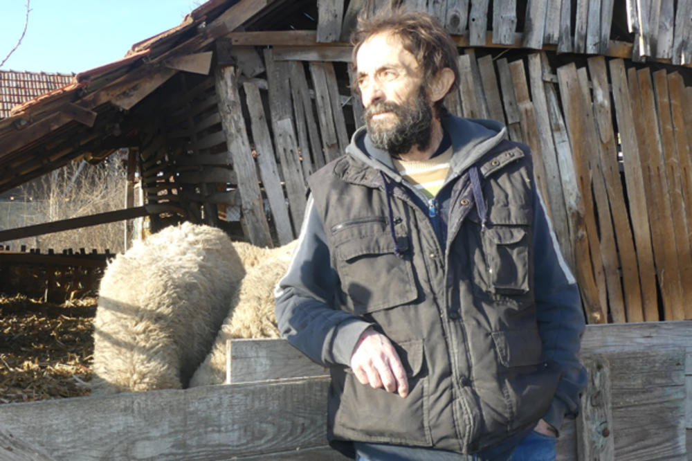 ИЗВРШИТЕЉИ МУ УЗИМАЈУ ОВЦЕ: Ненад продао крмачу да плати струју! ИЗВРШИТЕЉИ МУ УЗИМАЈУ ОВЦЕ: Ненад продао крмачу да плати струју!