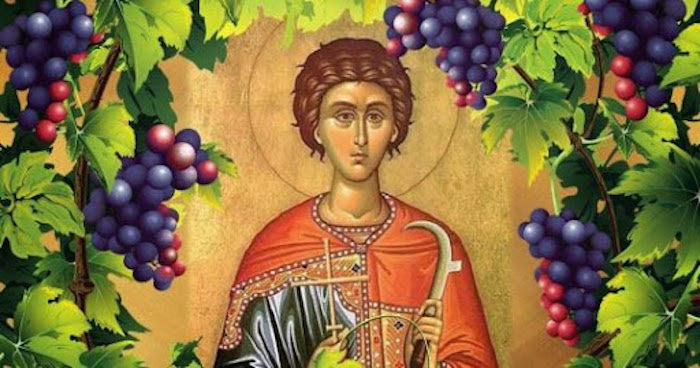 Данас славимо Светог Трифуна Данас славимо Светог Трифуна