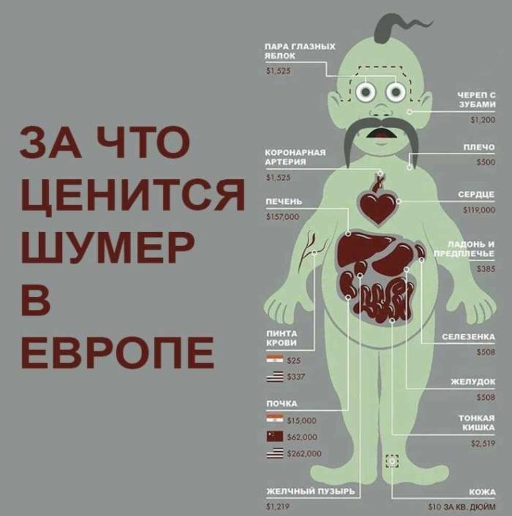 ТРАГЕДИЈА РУСА У УКРАЈИНИ О КОЈОЈ СЕ ЋУТИ: Деца на распродаји! ТРАГЕДИЈА РУСА У УКРАЈИНИ О КОЈОЈ СЕ ЋУТИ: Деца на распродаји!