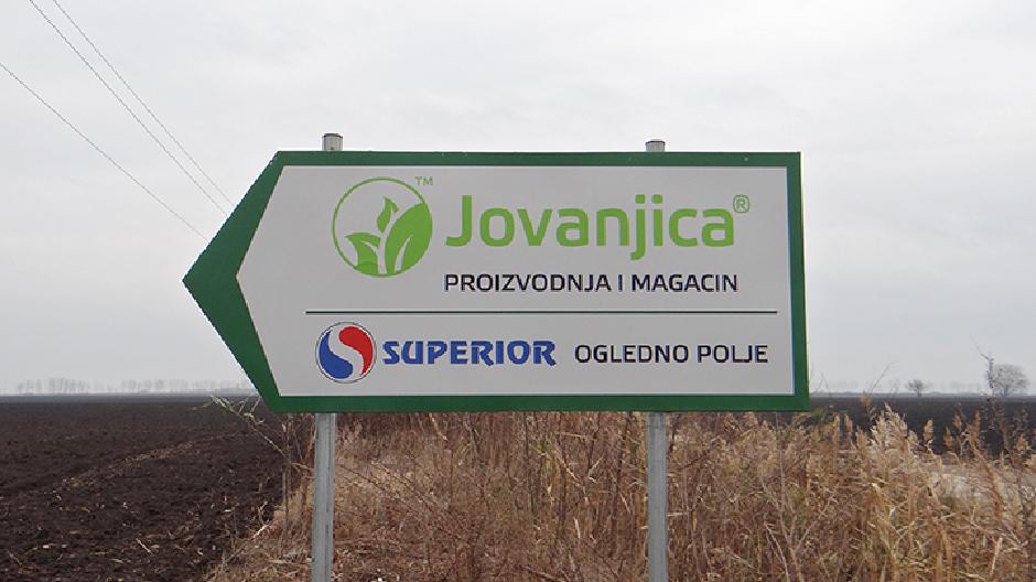 Продужен притвор Kолувији и осумњиченима за плантажу марихуане Јовањица Продужен притвор Kолувији и осумњиченима за плантажу марихуане Јовањица