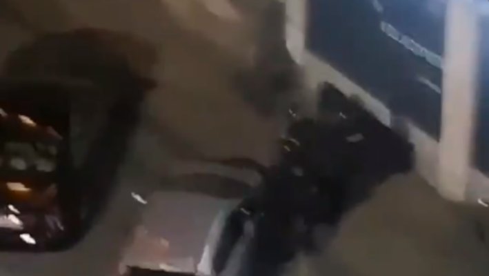 Београд: Погледајте како више полицајаца батина и онесвешћује жену (видео) Београд: Погледајте како више полицајаца батина и онесвешћује жену (видео)