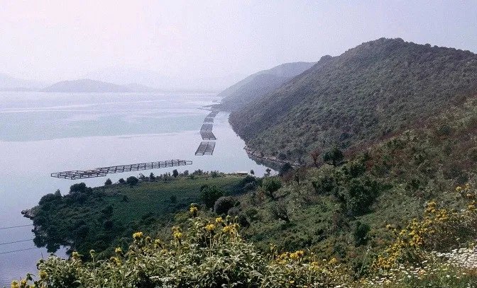 Мирослав Здравковић: Албанија је пољопривредна сила у односу на Србију Мирослав Здравковић: Албанија је пољопривредна сила у односу на Србију