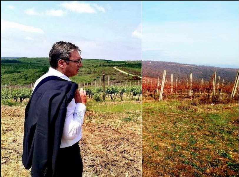ЕKСKЛУЗИВНО: Kако је Вучић за сина Данила у пола цене купио плантажу од преко 500 хектара код Лесковца! (фото, видео)