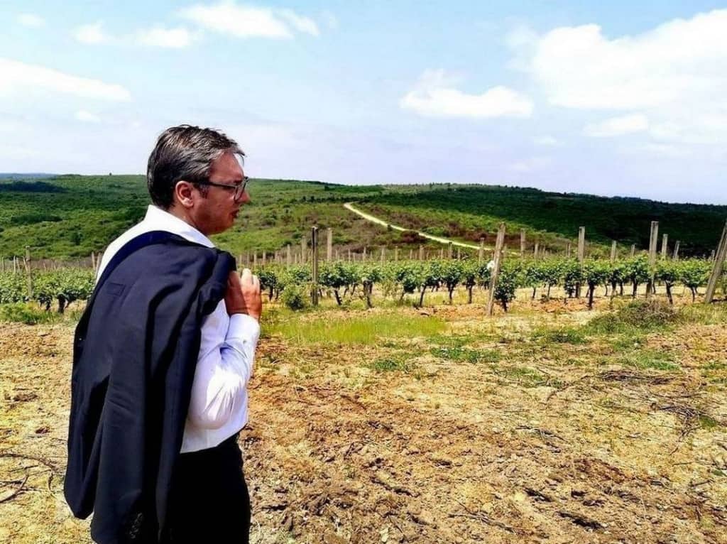 ЕKСKЛУЗИВНО: Kако је Вучић за сина Данила у пола цене купио плантажу од преко 500 хектара код Лесковца! (фото, видео) ЕKСKЛУЗИВНО: Kако је Вучић за сина Данила у пола цене купио плантажу од преко 500 хектара код Лесковца! (фото, видео)