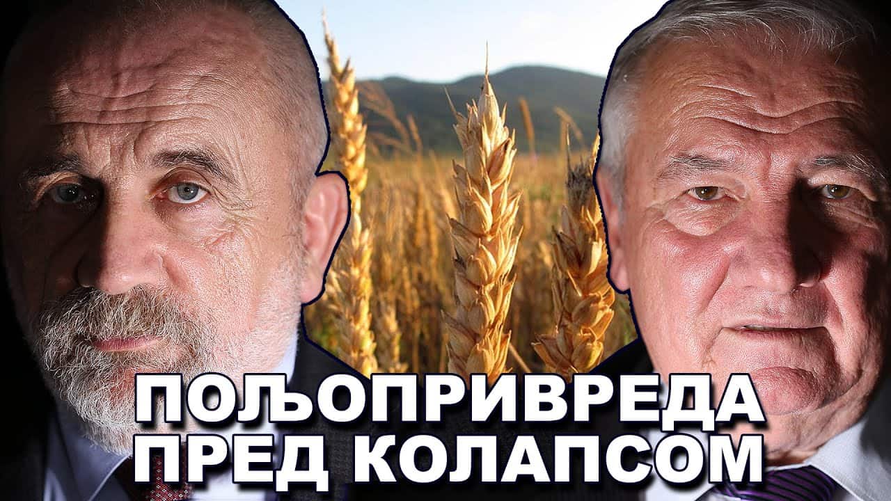 Трују нас ГМО храном, сељацима не плаћају субвенције, будућност Србије неизвесна! (видео) Трују нас ГМО храном, сељацима не плаћају субвенције, будућност Србије неизвесна! (видео)