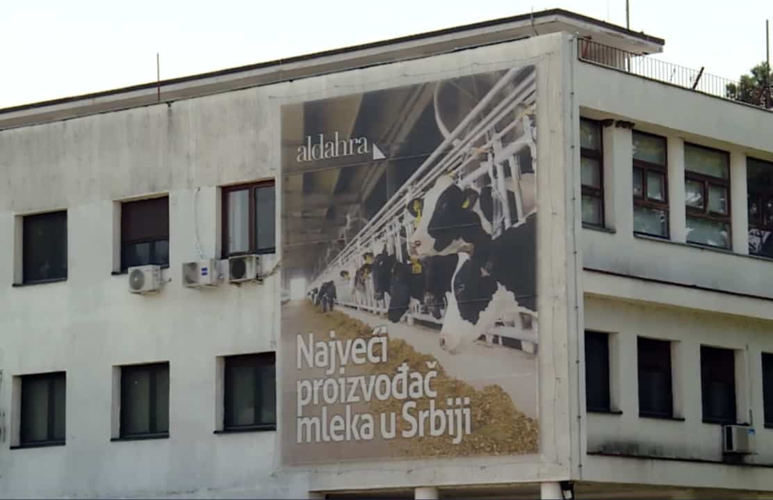 ПКБ три године након приватизације од Ал Дахре: Неухрањене краве, затворене фарме и минималне плате ПКБ три године након приватизације од Ал Дахре: Неухрањене краве, затворене фарме и минималне плате