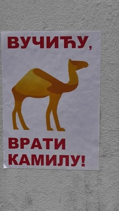 Вучићу, врати камилу! Вучићу, врати камилу!