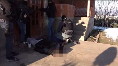 Полиција запленила 300 килограма марихуане у Великом Трновцу (видео)