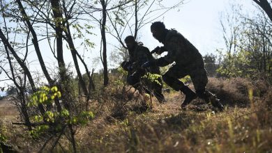 Прокупље: Знају ли МУП и војска тим шиптарским терористичким бандама да поставе заседу!?