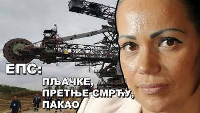 Наташа Пришић: Страх, деструкција, мобинг и прислушкивање су свакодневица (видео)