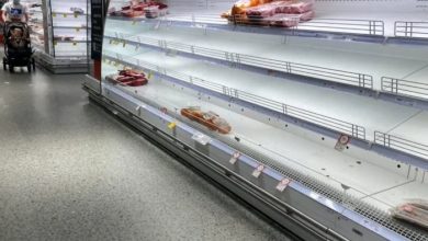 Стручњак за пољопривреду: Следи несташица хране много гора него што мислимо Стручњак за пољопривреду: Следи несташица хране много гора него што мислимо
