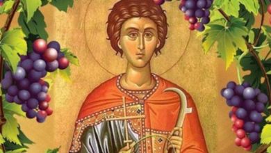 На Светог Трифуна резањем винове лозе почели радови у виноградима (видео) На Светог Трифуна резањем винове лозе почели радови у виноградима (видео)