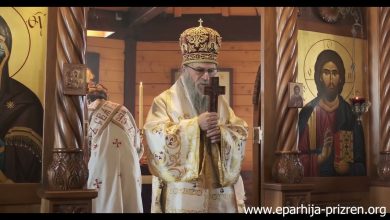 Беседа Владике Николаја у недељу Православља (видео) Беседа Владике Николаја у недељу Православља (видео)
