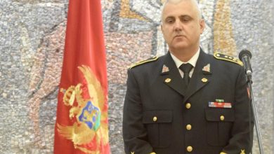 Чега си ти адмирал кукавче ниједан?! Чега си ти адмирал кукавче ниједан?!