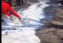 Протест у Шапцу: Произвођачи просипали млеко по главној градској улици (видео) Протест у Шапцу: Произвођачи просипали млеко по главној градској улици (видео)