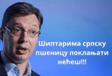 Када у резерви буде 1.200.000 тона пшенице за српске потребе вишак може у извоз Када у резерви буде 1.200.000 тона пшенице за српске потребе вишак може у извоз