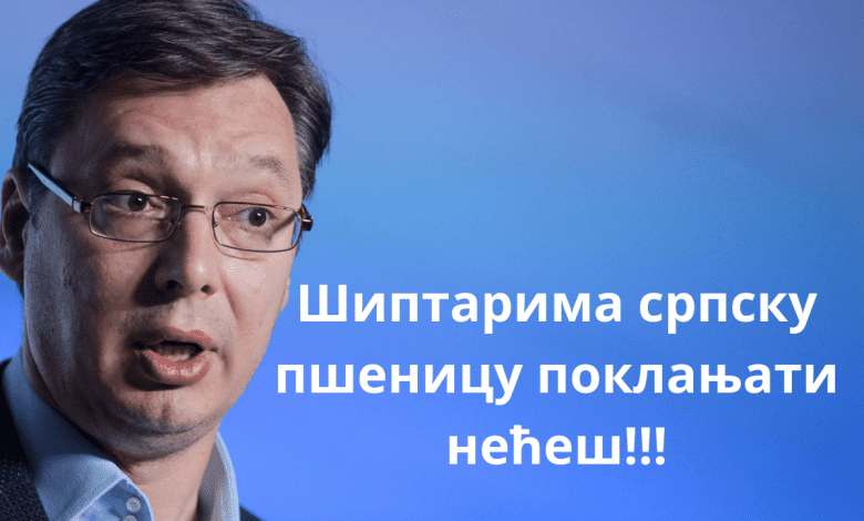 Када у резерви буде 1.200.000 тона пшенице за српске потребе вишак може у извоз Када у резерви буде 1.200.000 тона пшенице за српске потребе вишак може у извоз