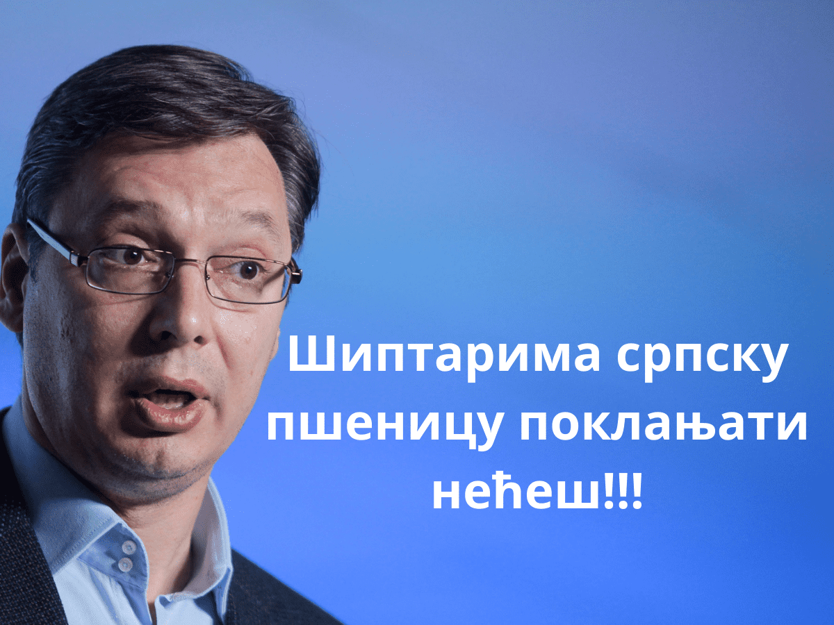 Када у резерви буде 1.200.000 тона пшенице за српске потребе вишак може у извоз Када у резерви буде 1.200.000 тона пшенице за српске потребе вишак може у извоз