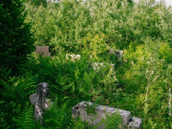 Хрвати преорали гробље на којем почива и 128 жена и деце, усташких жртава на Петровој гори Хрвати преорали гробље на којем почива и 128 жена и деце, усташких жртава на Петровој гори