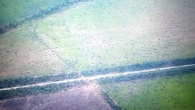 САМО ШТО НИЈЕ ПОЧЕЛА битка за Бахмут, РУСИ УБРЗО КРЕЋУ на Николајев па на Одесу САМО ШТО НИЈЕ ПОЧЕЛА битка за Бахмут, РУСИ УБРЗО КРЕЋУ на Николајев па на Одесу
