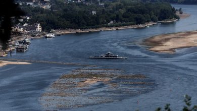 Суша паралише превоз терета Рајном, Норвешка престаје да извози струју Суша паралише превоз терета Рајном, Норвешка престаје да извози струју