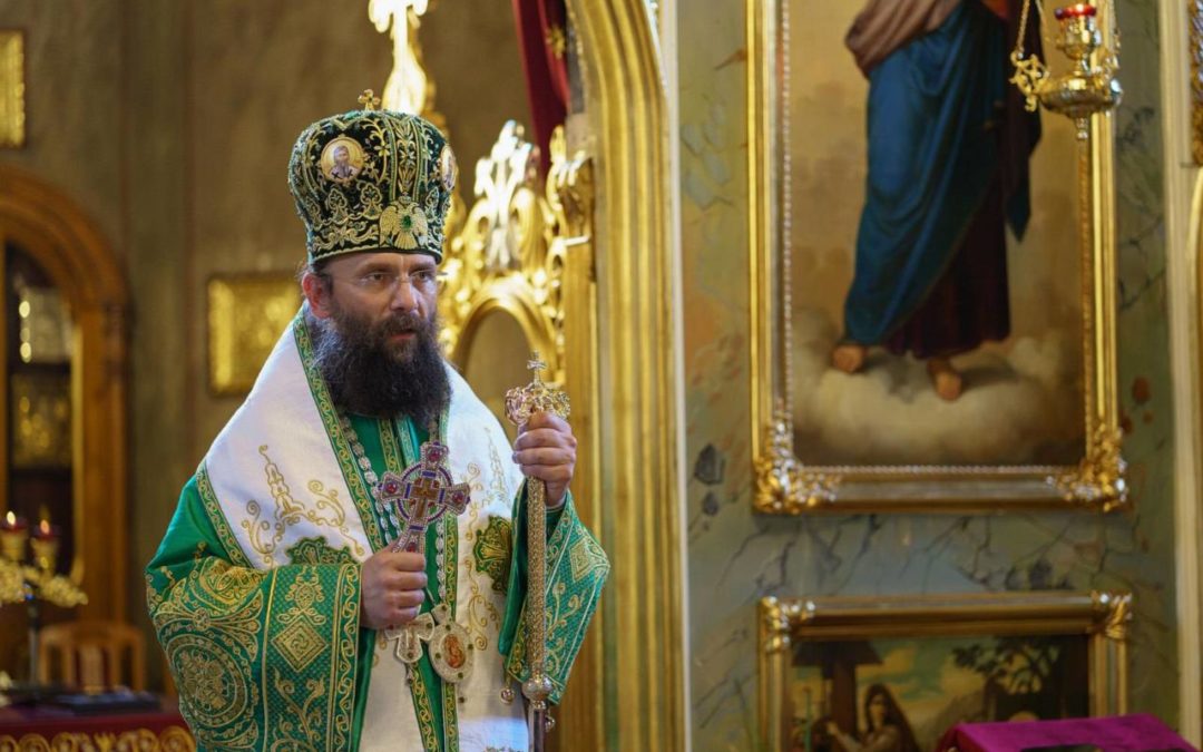 И владика Иларион позвао народ и свештенство на литију против геј параде!