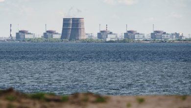 Медведев: И ЕУ има нуклеарне електране, несреће се и тамо могу догодити Медведев: И ЕУ има нуклеарне електране, несреће се и тамо могу догодити