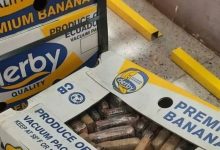 Нико није крив за шверц пола тоне кокаина у Црну Гору Нико није крив за шверц пола тоне кокаина у Црну Гору