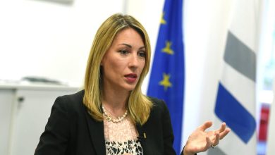 Владимир Гајић: Дубравка Ђедовић Негре је министарка Рио Тинта Владимир Гајић: Дубравка Ђедовић Негре је министарка Рио Тинта