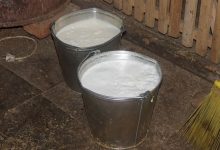 Шутановац, лигаши и Брнабићка да се јаве редакцији Србије данас да вам донирамо 20 кила репродуктивног материјала! Шутановац, лигаши и Брнабићка да се јаве редакцији Србије данас да вам донирамо 20 кила репродуктивног материјала!