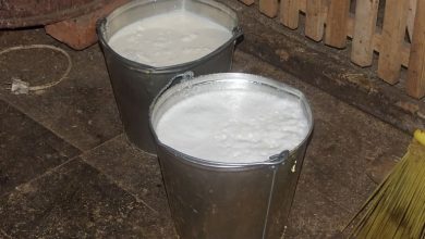 Шутановац, лигаши и Брнабићка да се јаве редакцији Србије данас да вам донирамо 20 кила репродуктивног материјала! Шутановац, лигаши и Брнабићка да се јаве редакцији Србије данас да вам донирамо 20 кила репродуктивног материјала!