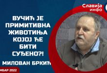 Милован Бркић: Испливале су важне истине на суђењу Вељи Невољи! (видео) Милован Бркић: Испливале су важне истине на суђењу Вељи Невољи! (видео)