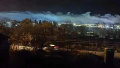 Новинар из Пирота на месту несреће затекао леш (видео) Новинар из Пирота на месту несреће затекао леш (видео)