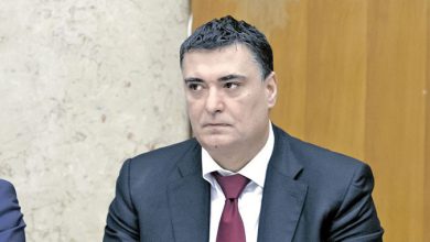 Ево шта се крије иза Вучићевог пулена Радета Басте Ево шта се крије иза Вучићевог пулена Радета Басте