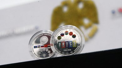 Евроазијска економска унија, БРИКС и ШОС формирају највећу интеграциону заједницу Евроазијска економска унија, БРИКС и ШОС формирају највећу интеграциону заједницу