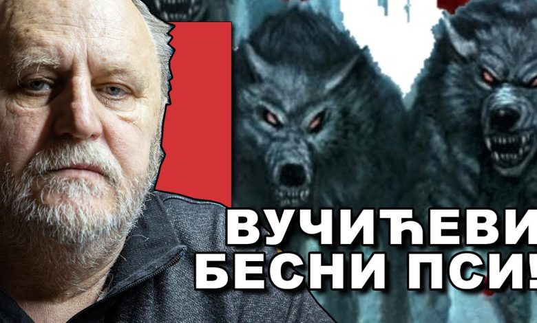 Милован Бркић: Диктатор је у паници а у СНС је почео немилосрдни рат између кланова! (видео)