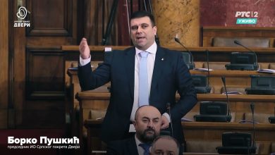 Борко Пушкић: Наставља се политика комадања ЕПС-а Борко Пушкић: Наставља се политика комадања ЕПС-а