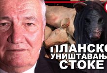 Миладин Шеварлић: ШТА СМО ТО ЈЕЛИ?! ЕУ годинама забрањивала ВАKЦИНИСАНЕ свиње из Србије! (видео) Миладин Шеварлић: ШТА СМО ТО ЈЕЛИ?! ЕУ годинама забрањивала ВАKЦИНИСАНЕ свиње из Србије! (видео)
