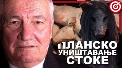Миладин Шеварлић: ШТА СМО ТО ЈЕЛИ?! ЕУ годинама забрањивала ВАKЦИНИСАНЕ свиње из Србије! (видео) Миладин Шеварлић: ШТА СМО ТО ЈЕЛИ?! ЕУ годинама забрањивала ВАKЦИНИСАНЕ свиње из Србије! (видео)
